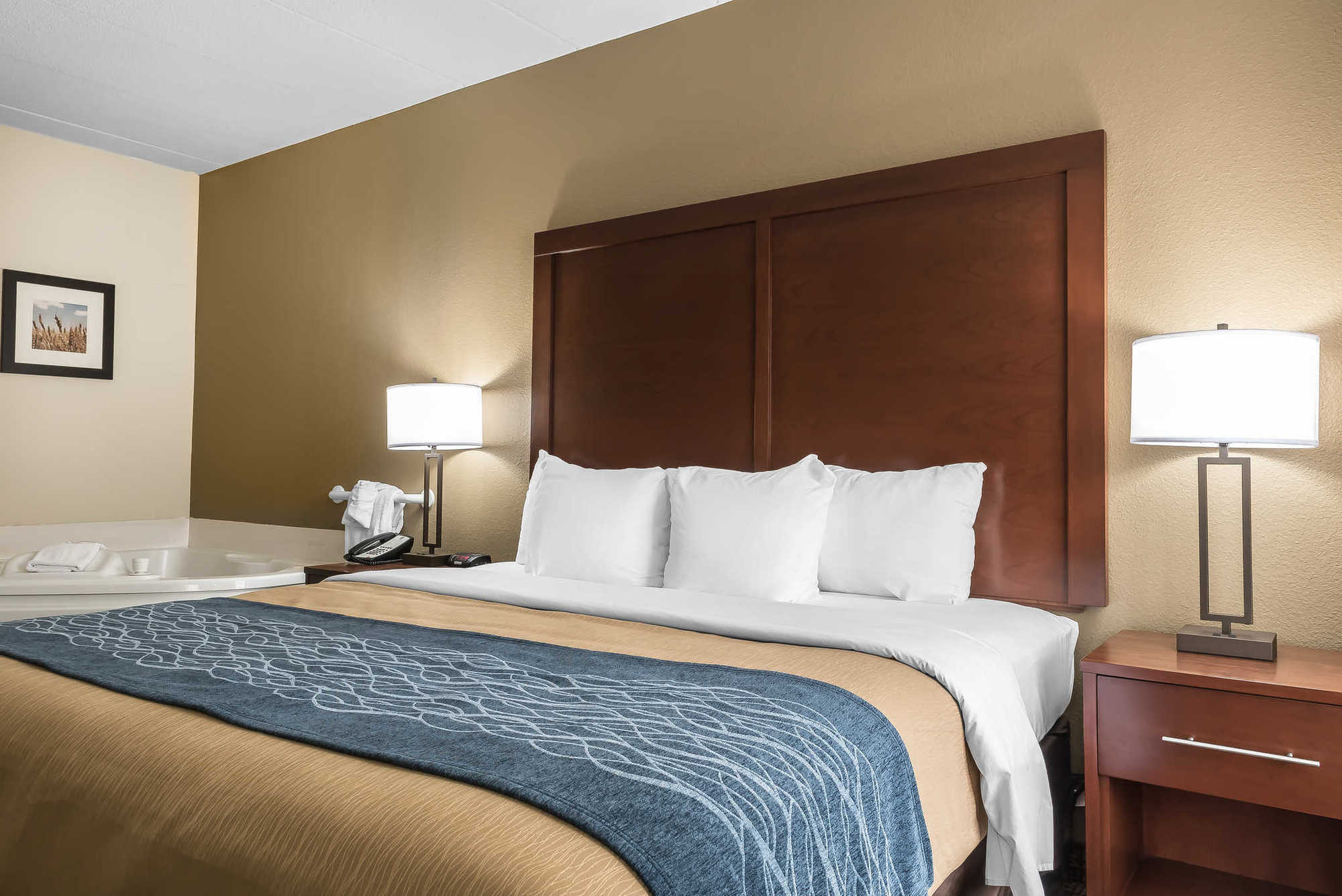 Comfort Inn Indianapolis North - כרמל חדר תמונה