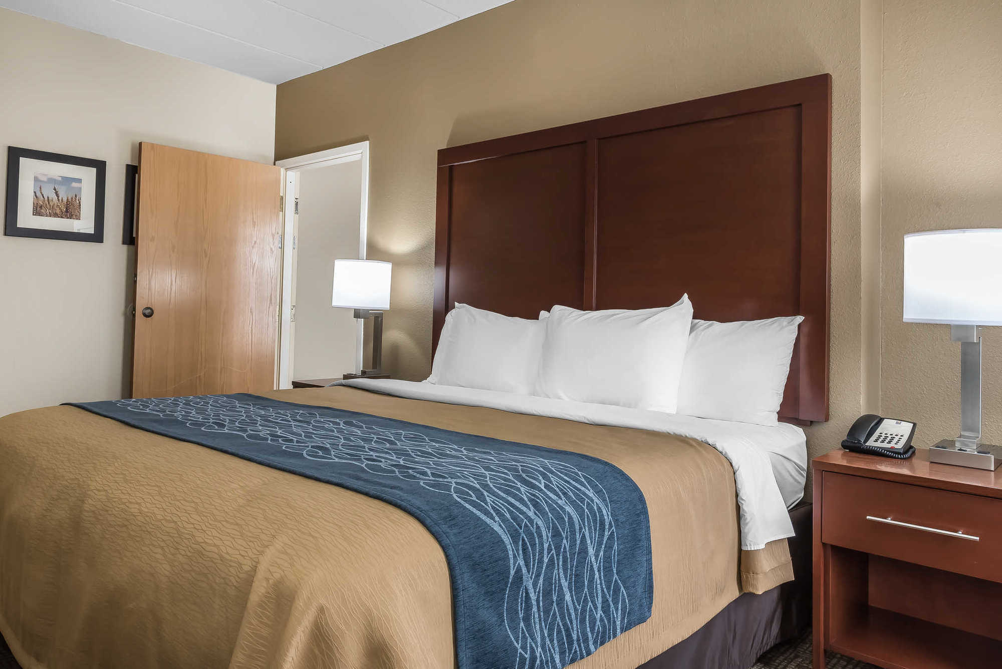 Comfort Inn Indianapolis North - כרמל חדר תמונה